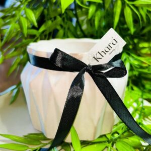 Flower Pot 003